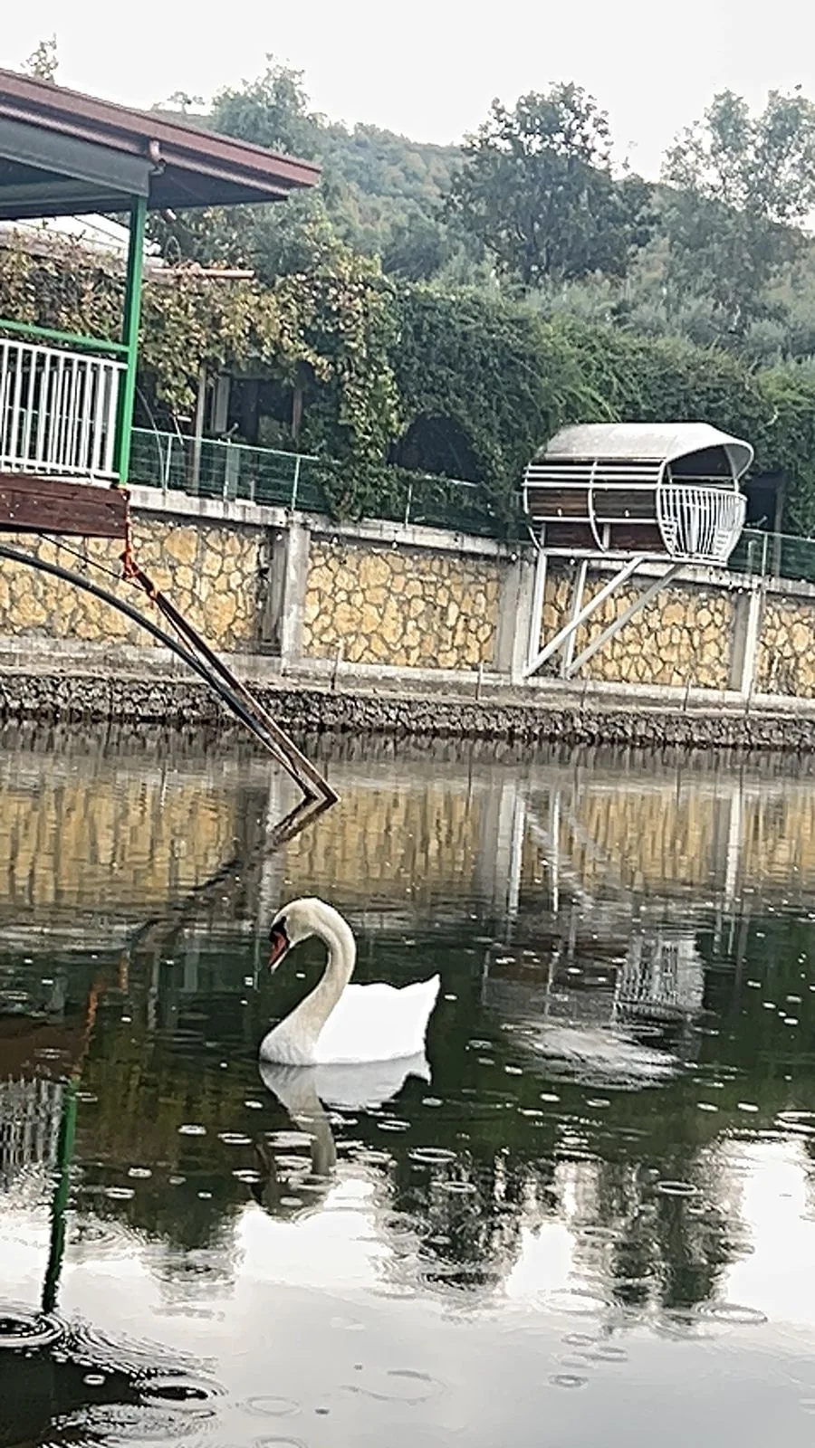 Pak qet&euml;si, n&euml; breg t&euml; liqenit.